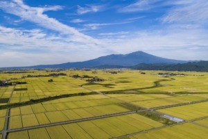 山形県酒田市